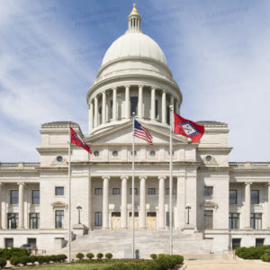 Nat'l Socialist Movement to Rally in Little Rock, AR @ Arkansas State Capitol Building | Little Rock | Arkansas | United States